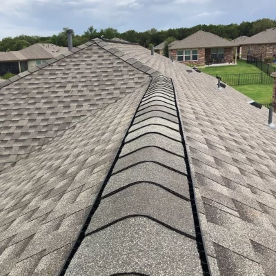 Shingle Roofing - The Guild Collective Austin TX